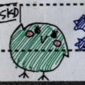 51回生